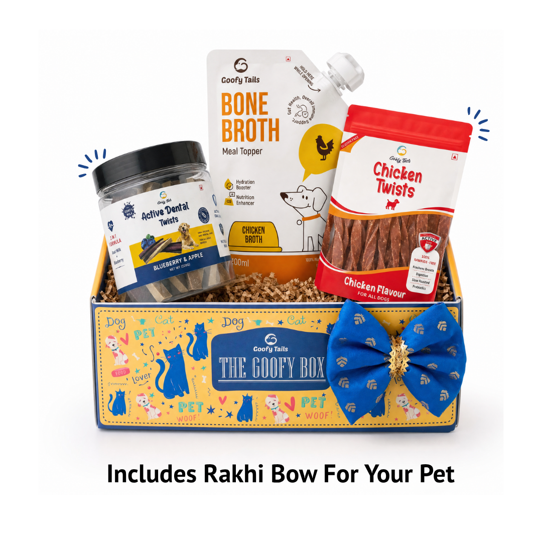 Goofy Tails Rakhi Gift Box for Dogs | Includes Rakhi Bow