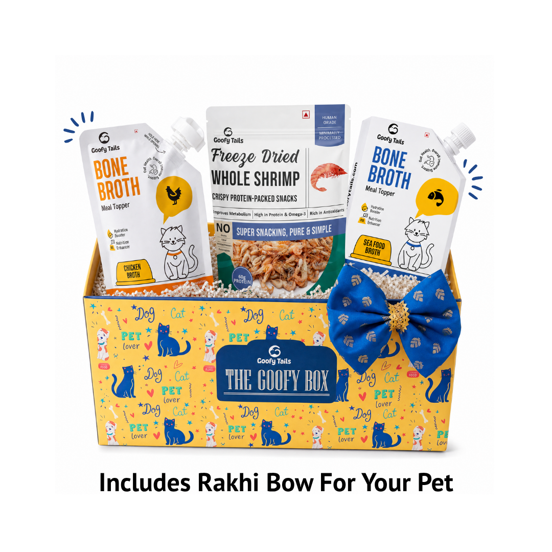 Goofy Tails Rakhi Gift Box for Cats | Includes Rakhi Bow