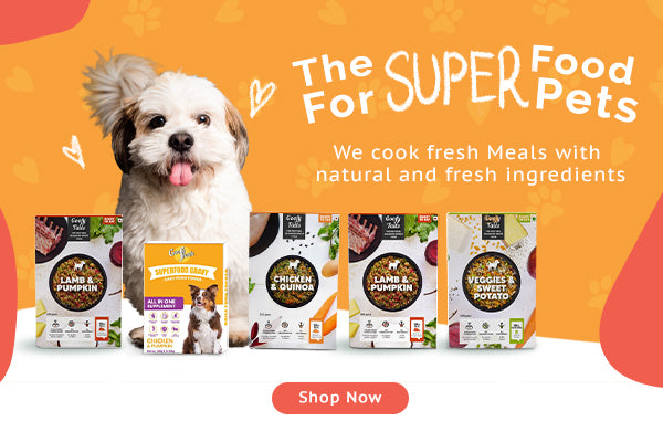 The super food for super pet mobile banner from goofytails.com.jpg