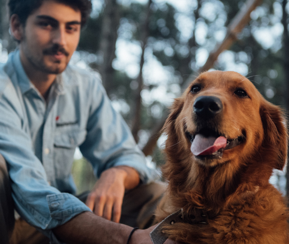 Happy dog with owner