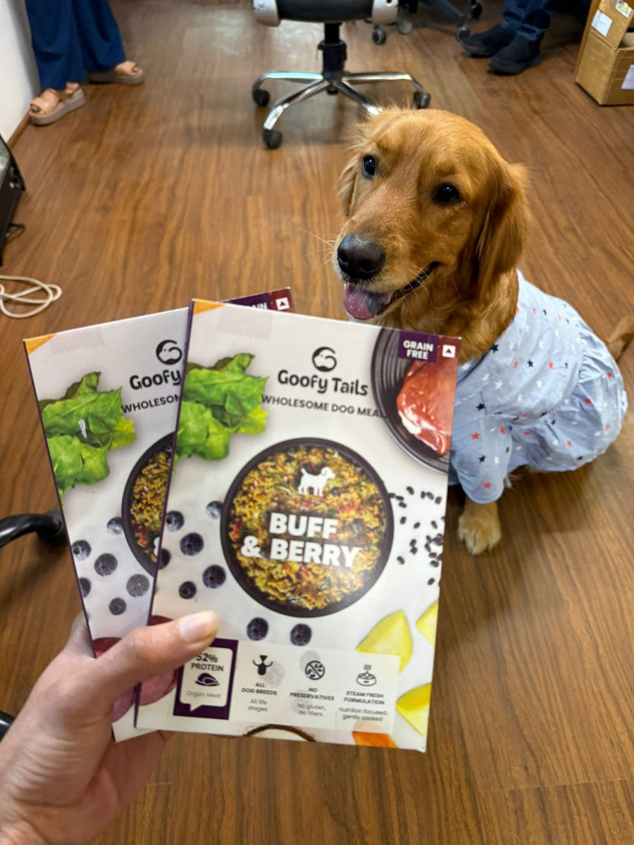 Why Choose Wholesome Meals by Goofy Tails?