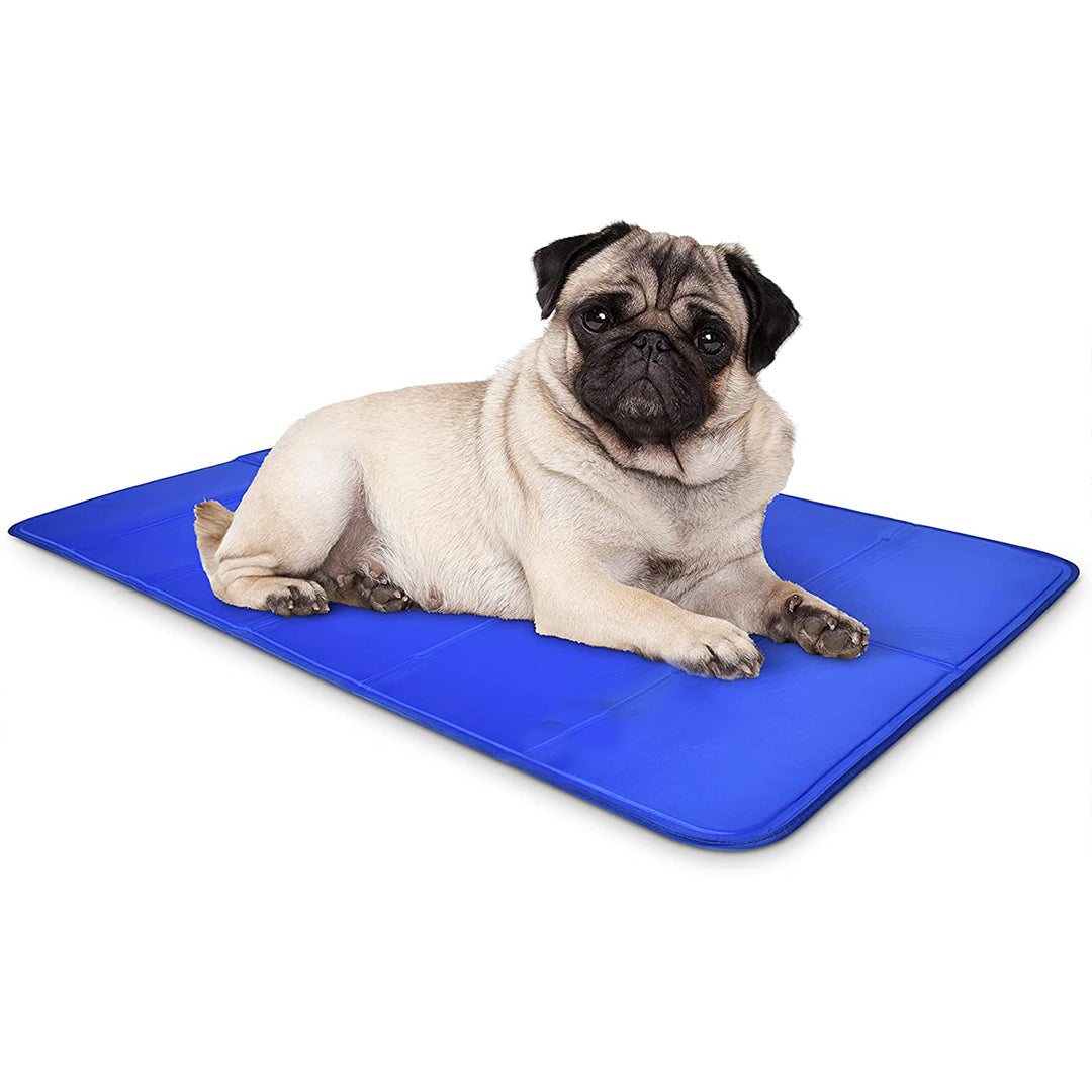 a pug dog sitting on goofy tails cooling mat