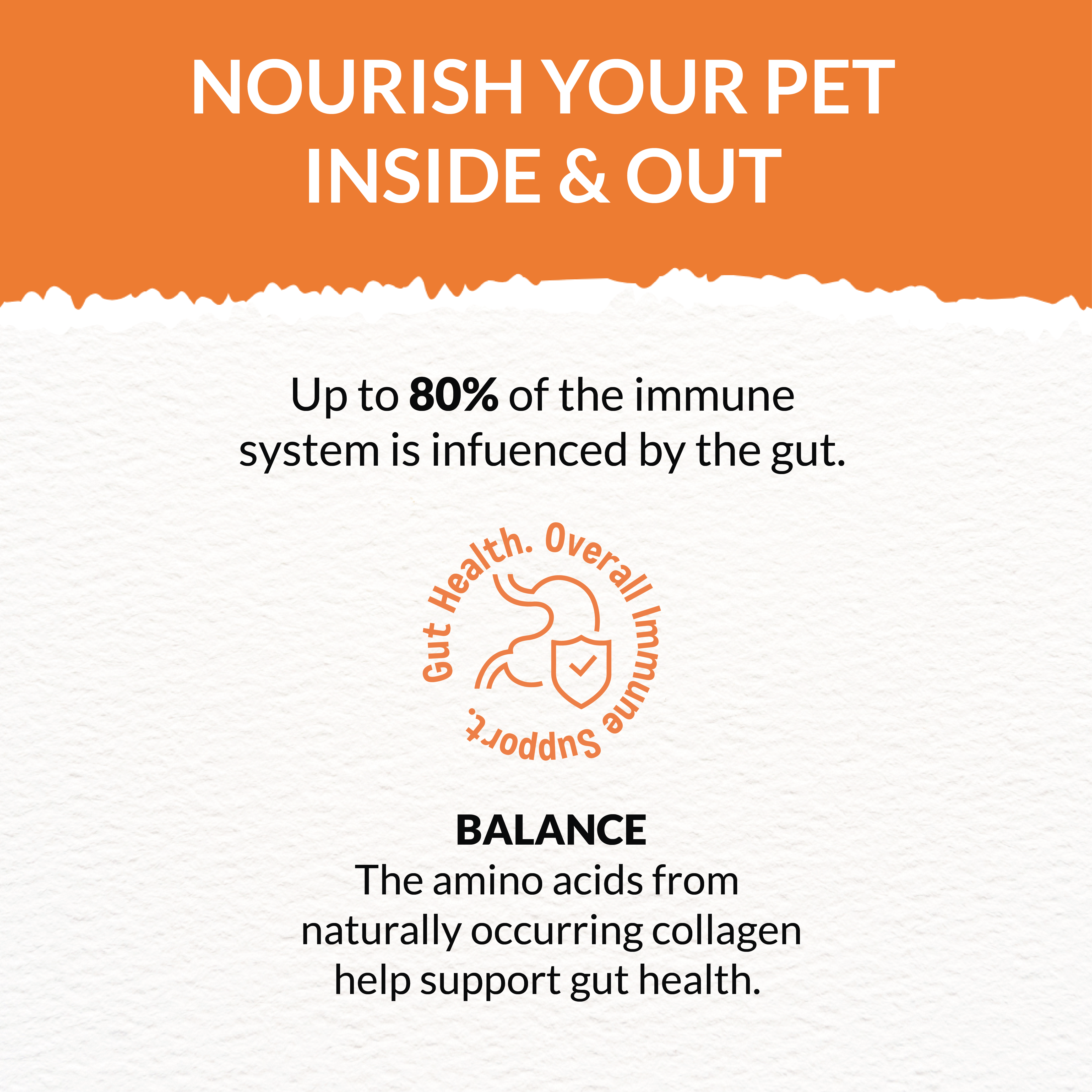 Goofy Tails Chicken Bone Broth Monthly Pack- 25ml