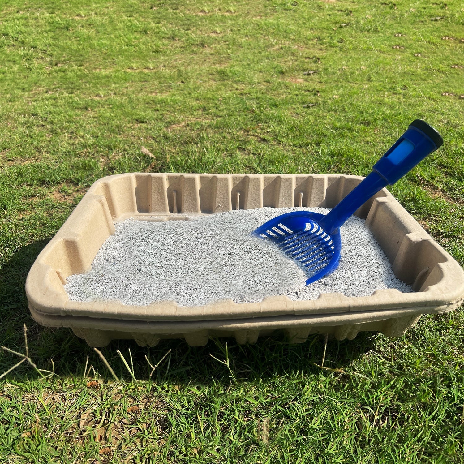 Showing bentonite cat litter in a tray
