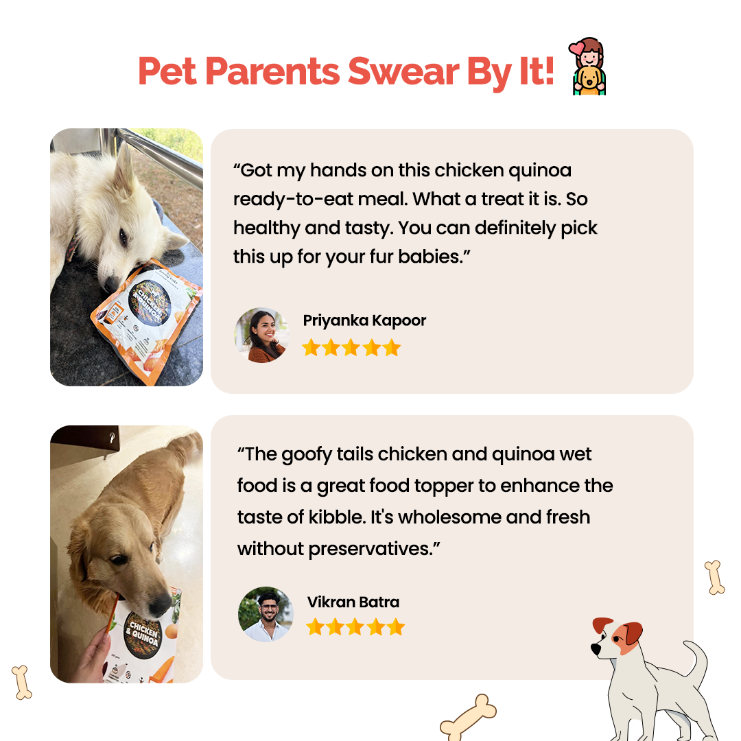 Goofy Tails Chicken and Quinoa Wholesome Meals for Dogs and Puppies