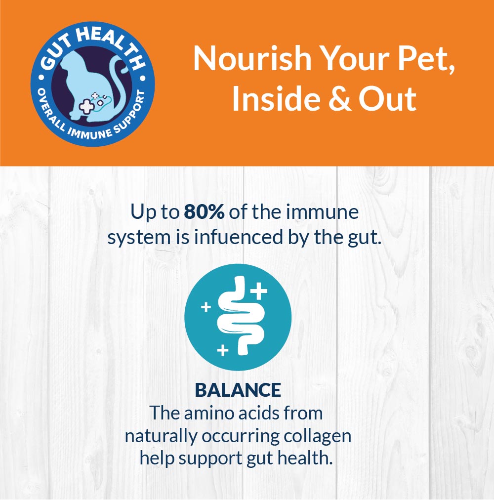 nourish your pet inside & Out