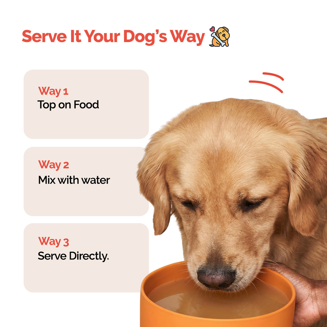 Goofy Tails Lamb Bone Broth for Dogs and Puppies