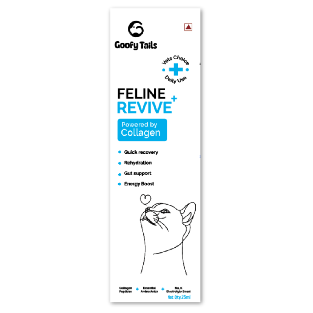 Hydration Kit for Cats | Chicken Bone Broth for Cats | Feline Revive+ | Hemp Paw Balm