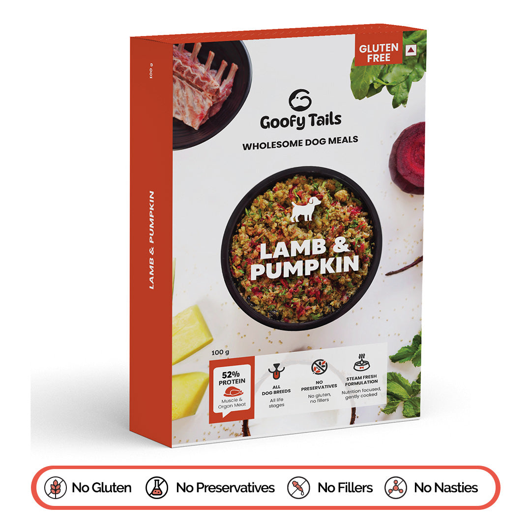 Goofy Tails Lamb and Pumpkin