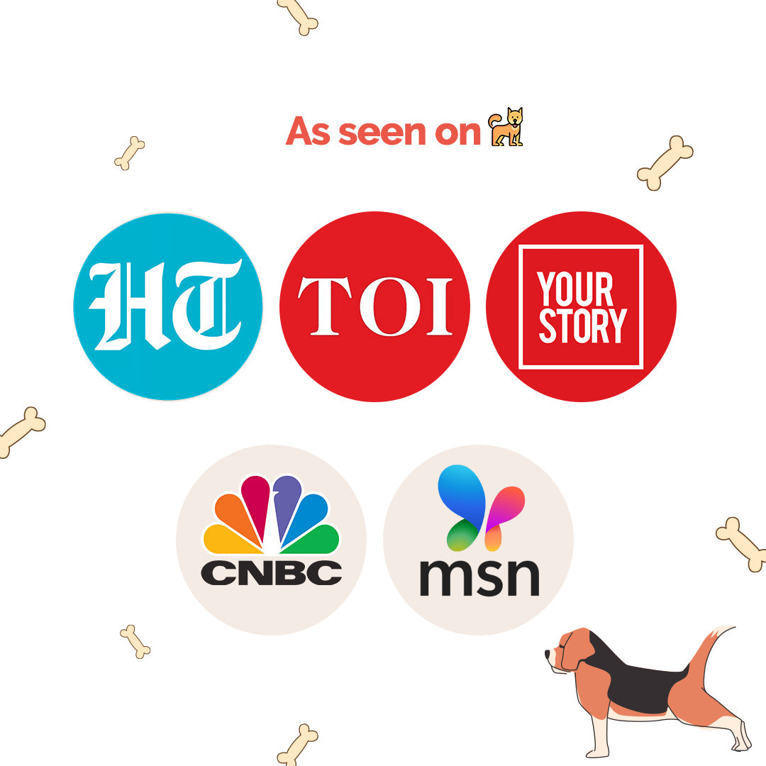 Goofy Tails Lamb Bone Broth for Dogs and Puppies