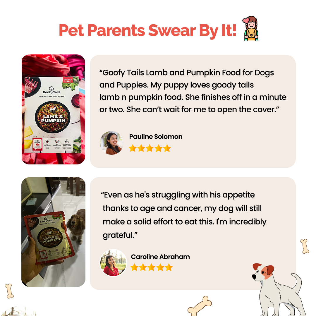 Goofy Tails Lamb and Pumpkin Food for Dogs and Puppies