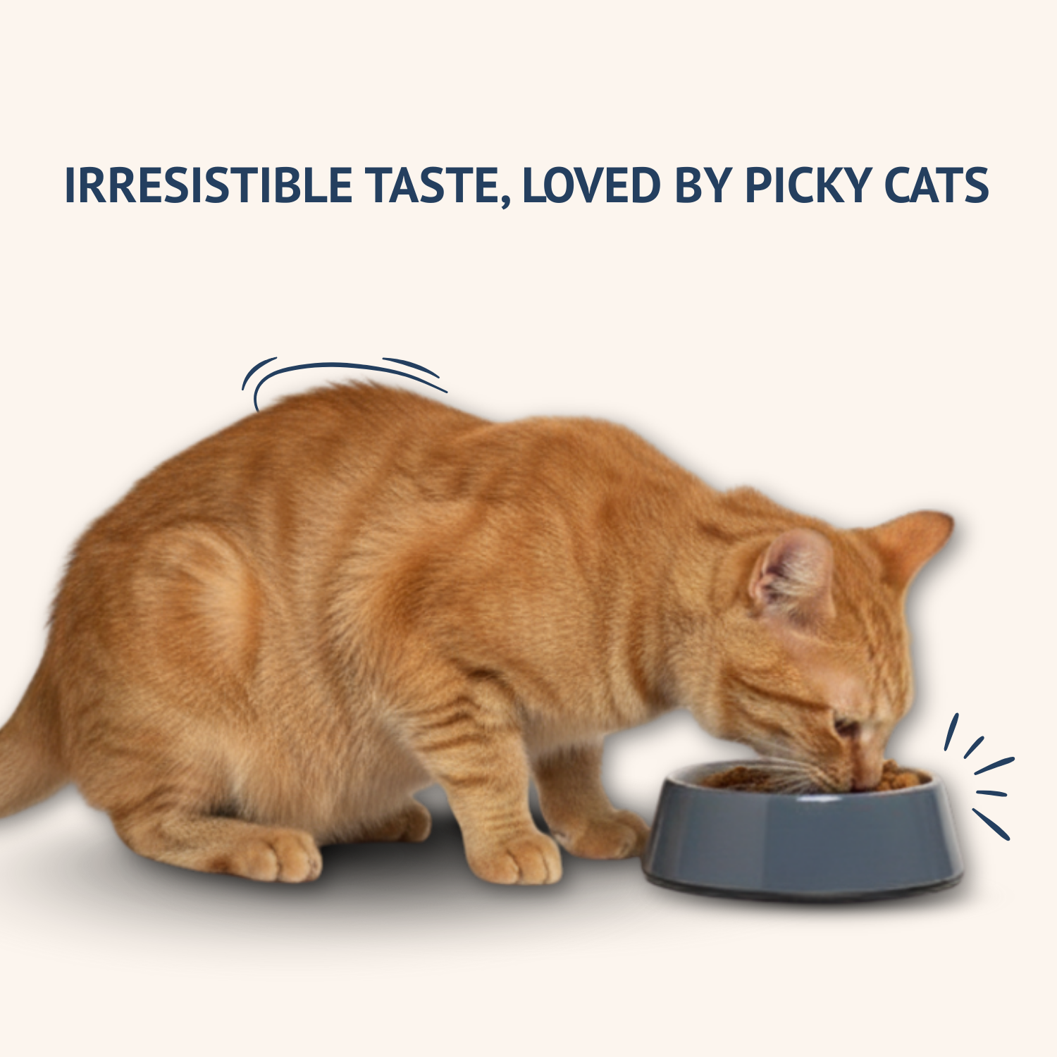 Goofy Tails Mackerel and Chicken Wet Cat and Kitten Food