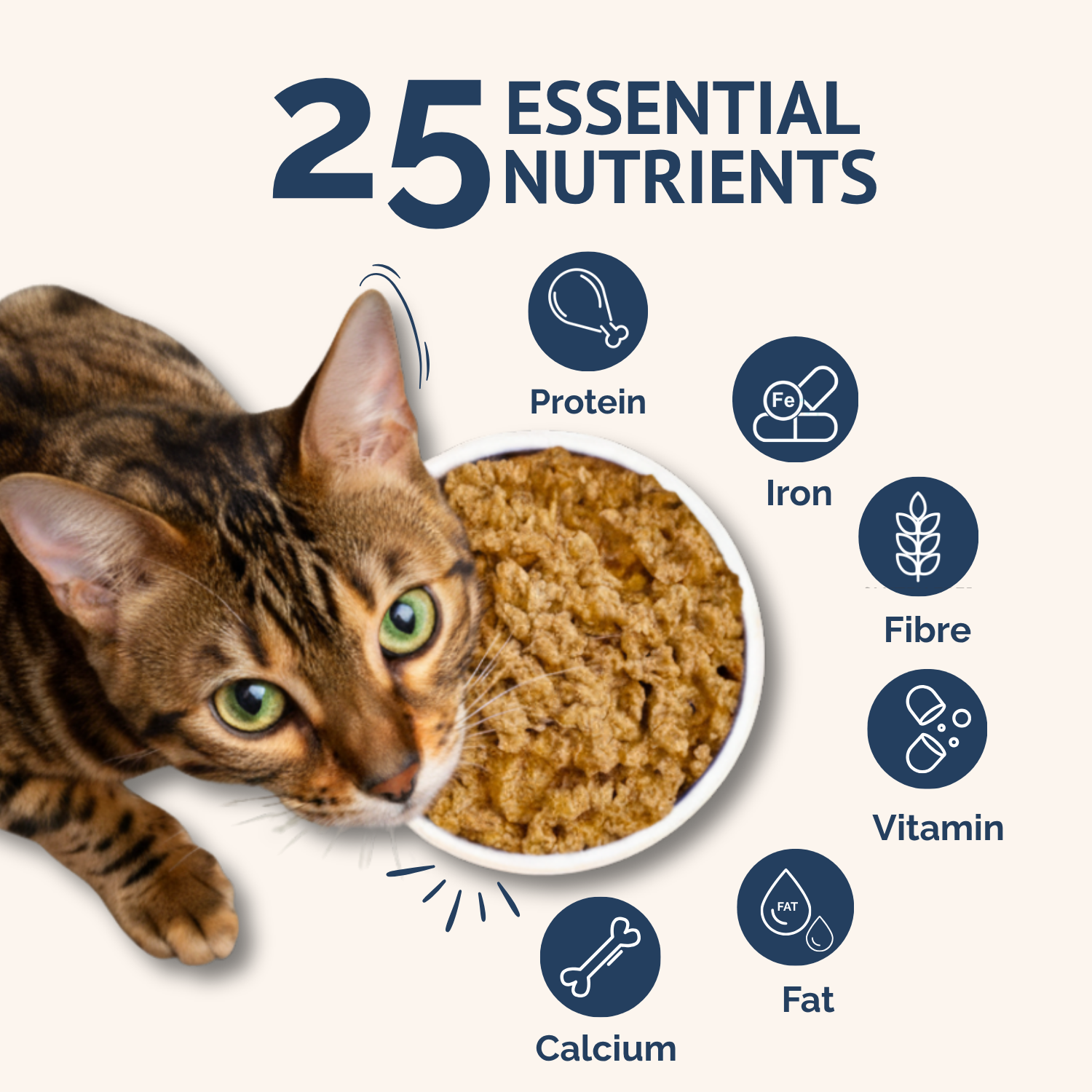 Goofy Tails Mackerel and Chicken Wet Cat and Kitten Food