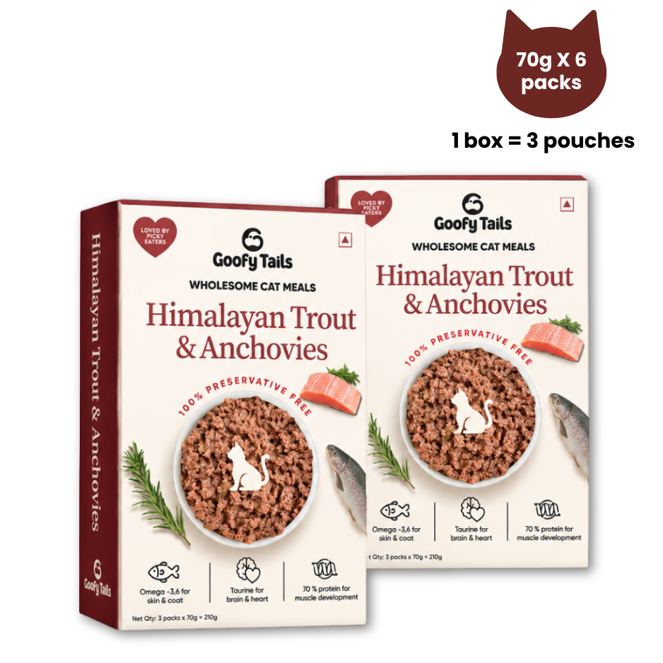 Goofy Tails Himalayan Trout Wet Cat and Kitten Food