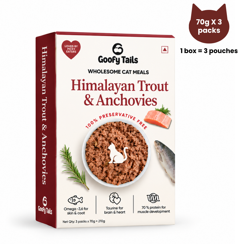 Goofy Tails Himalayan Trout Wet Cat and Kitten Food