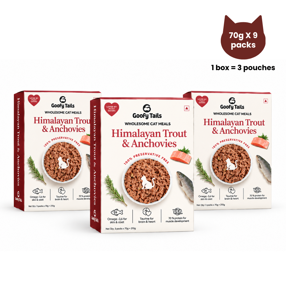 Goofy Tails Himalayan Trout Wet Cat and Kitten Food