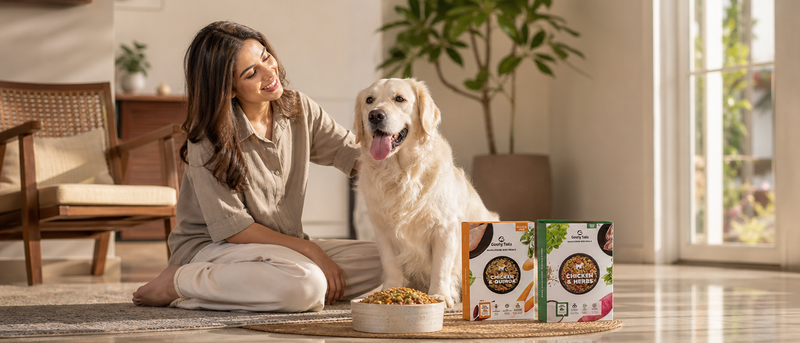 Wholesome Meals for Dogs