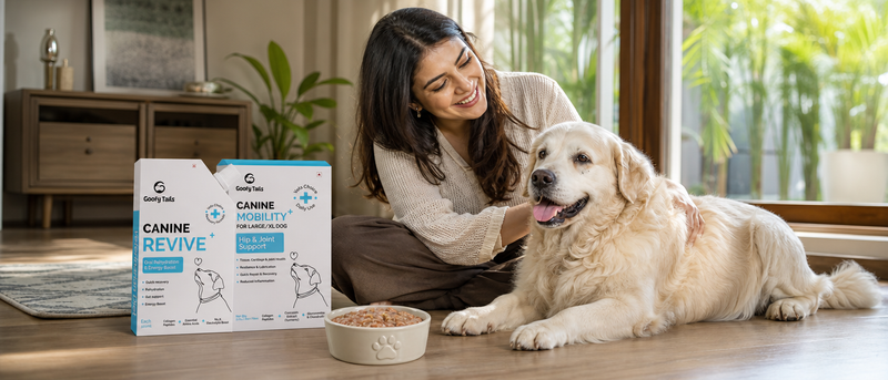 Supplements and Wellness for Dogs