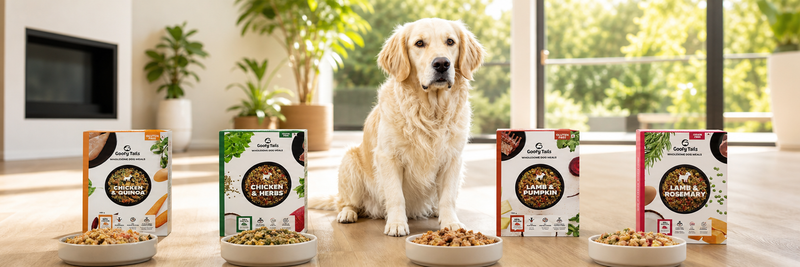 Trial Packs Dog: Father's Day Sale Live!