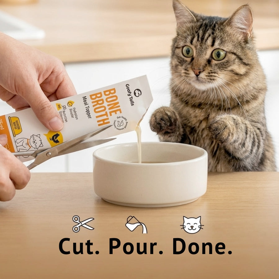 Pouring GoofyTails bone broth into a cat's bowl