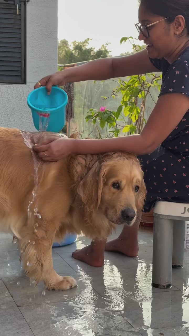 Goofy Tails Lamb Bone Broth for Dogs and Puppies