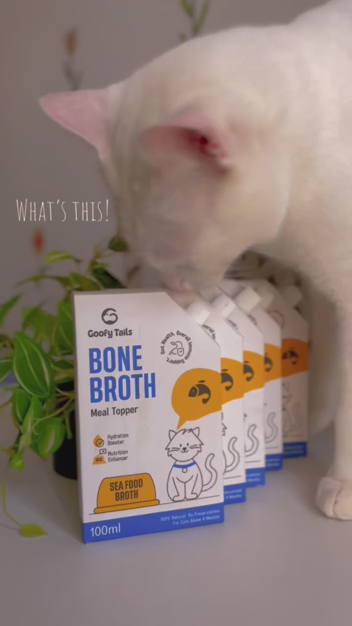 Goofy Tails Trial Packs Bone Broth for Cats and Kittens (2 X Chicken & 2 X Seafood)