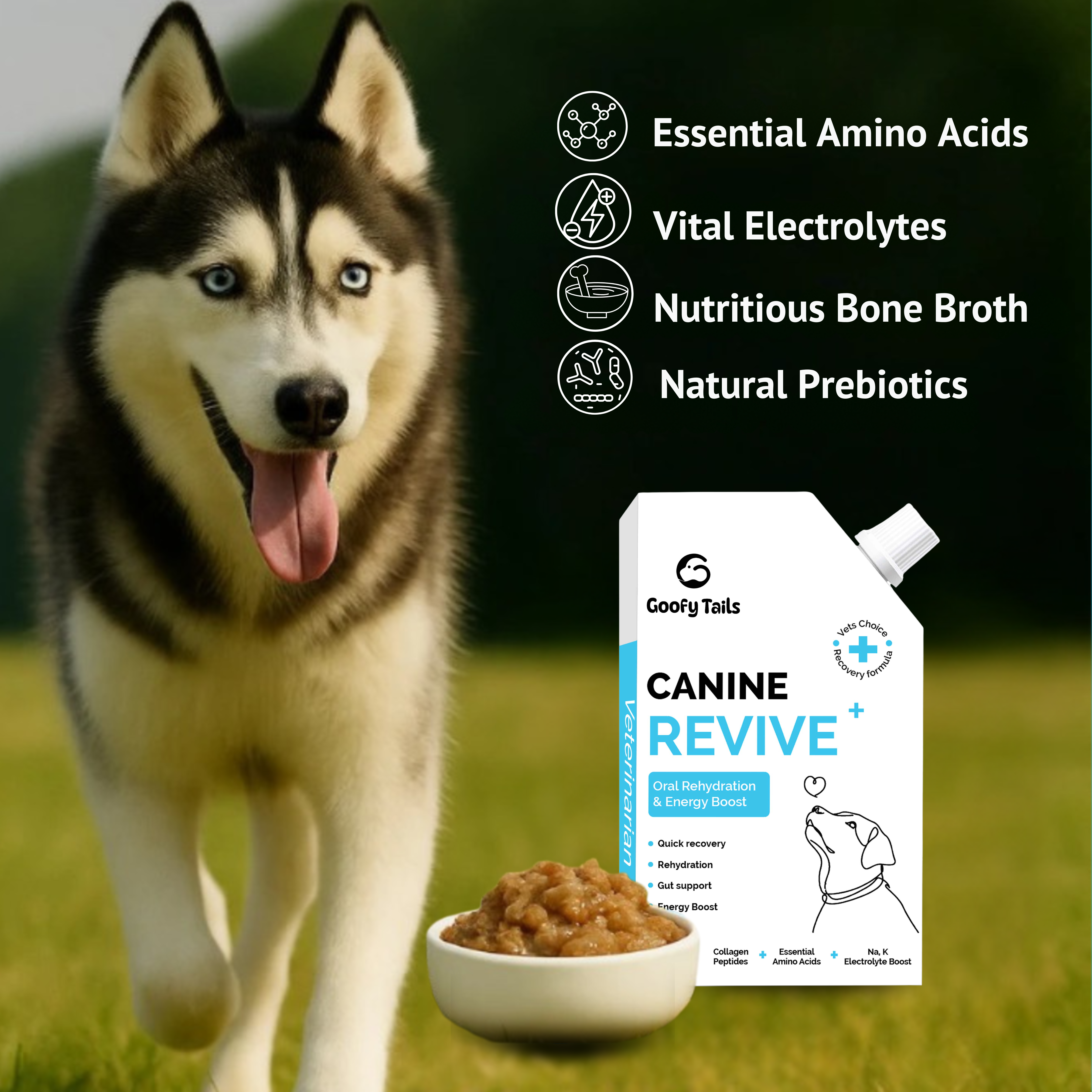Goofy Tails Canine Revive + Hydration, Nutrition booster, ORS for Dogs