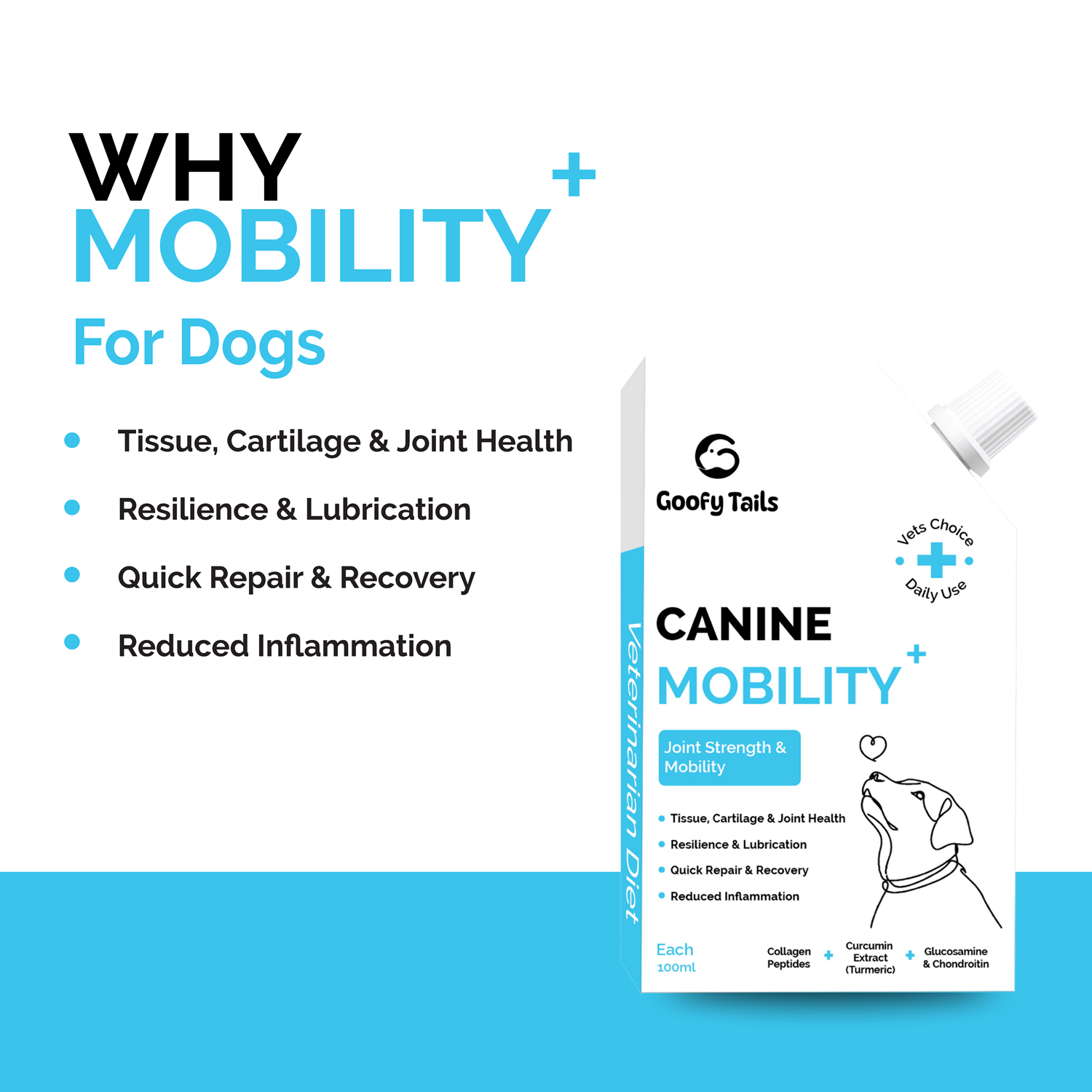 Goofy Tails Canine Mobility+  Joints Support &  Mobility Booster Supplement for Dogs