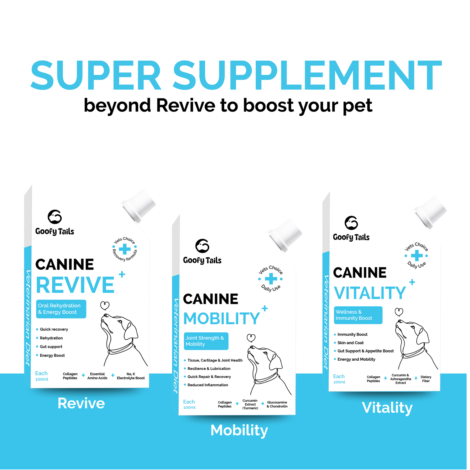 Goofy Tails Canine Mobility+  Joints Support &  Mobility Booster Supplement for Dogs