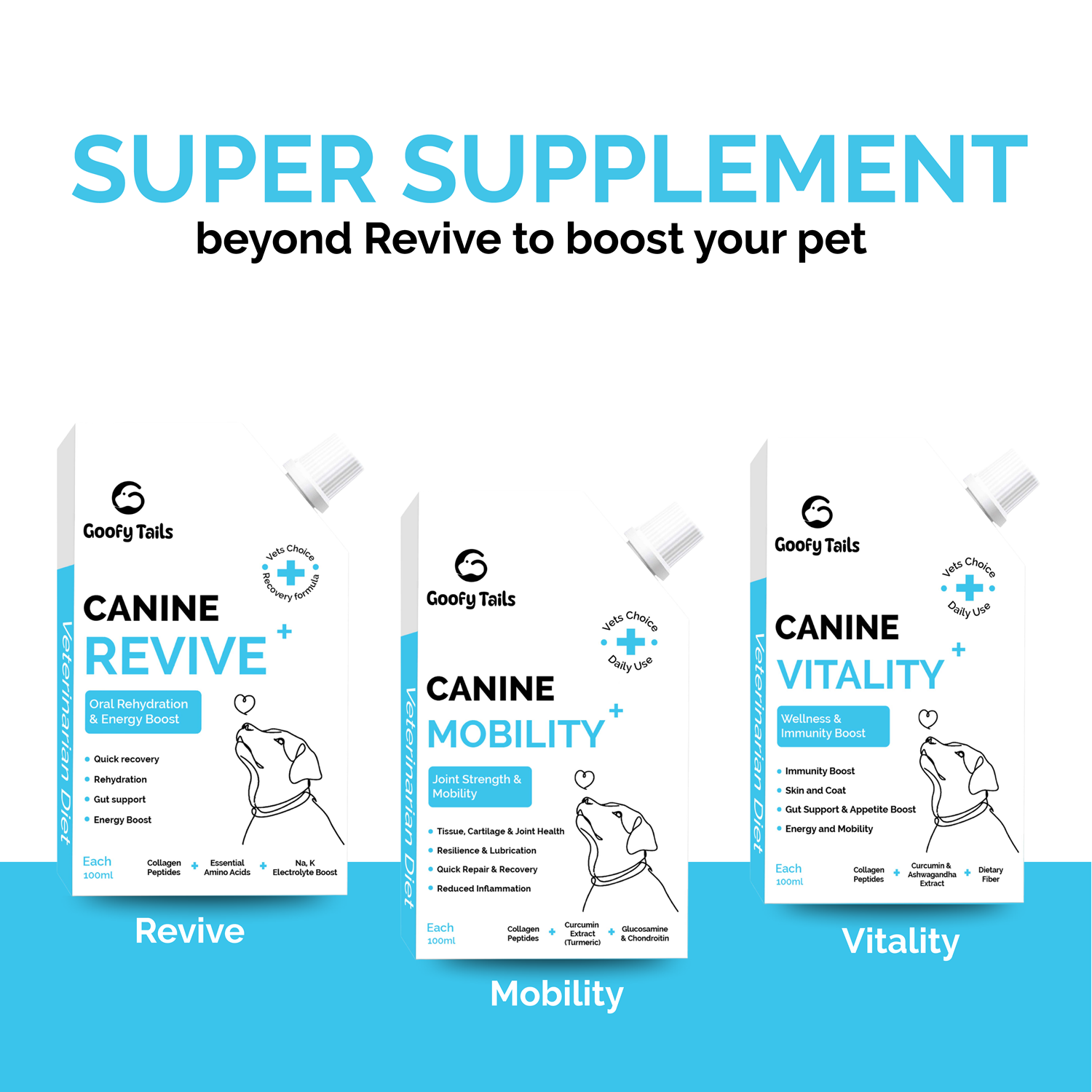 Goofy Tails Canine Vitality + Wellness & Immunity Booster Supplement for Dogs