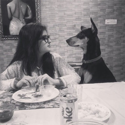 Pet Parent of Kittu: Sanna