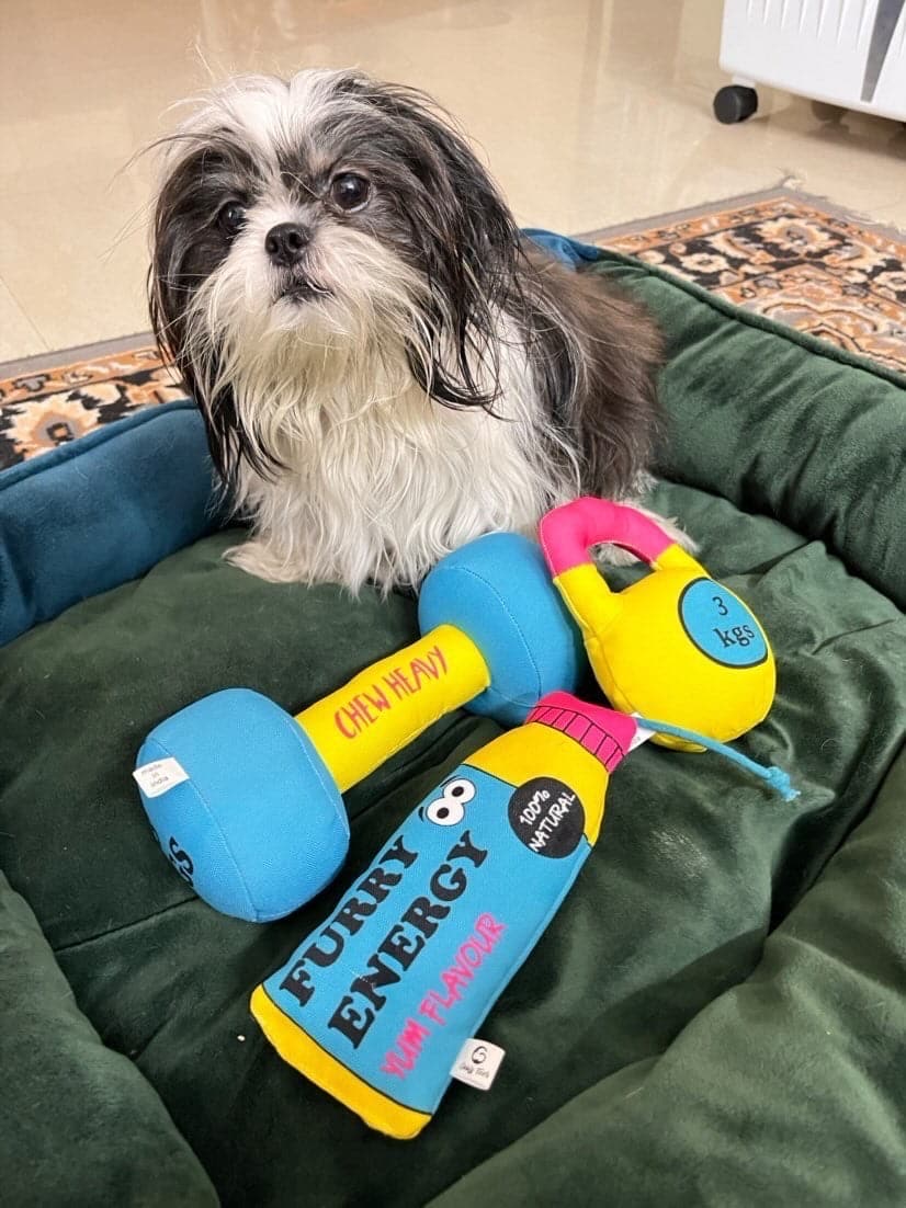Toy for puppies (7329807270038)