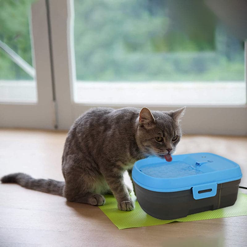 Water Fountain for cats (7563998888086)