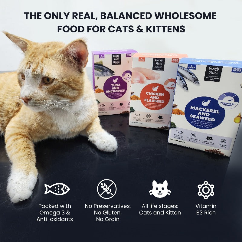 Goofy Tails Chicken and Flaxseed Cat and Kitten Wet Food – GoofyTails