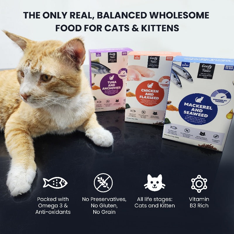 Goofy Tails  Tuna and Anchovies Wholesome All Natural Wet Cat Food and Kitten Food