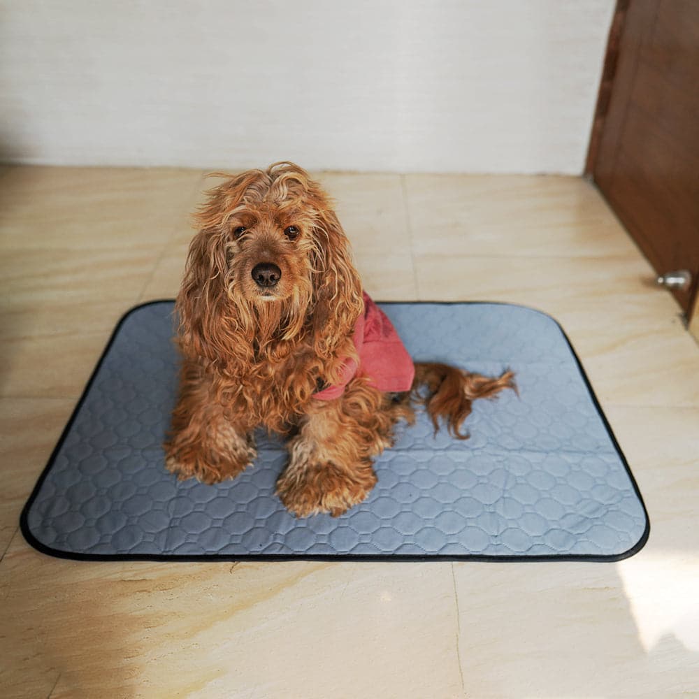 pee pads for dogs india (7533544112278)
