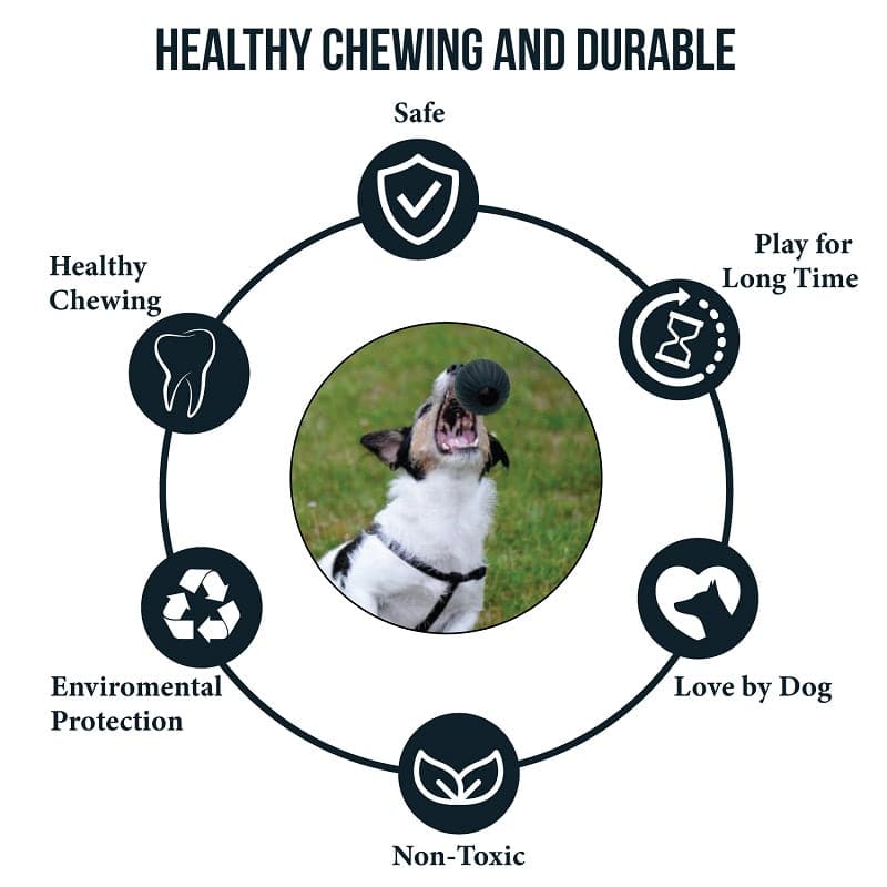 Healthy Chewing and Durable Dog Ball Toys (7606798418070)