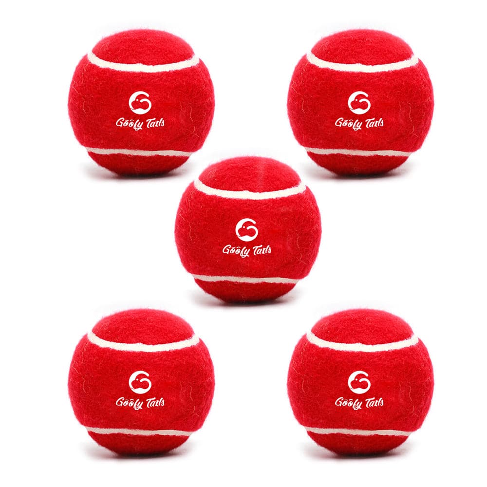 Goofy Tails Tennis Dog Ball | Tennis Ball 3 Ball Combo for All Dog Breed | Dog Toy Ball