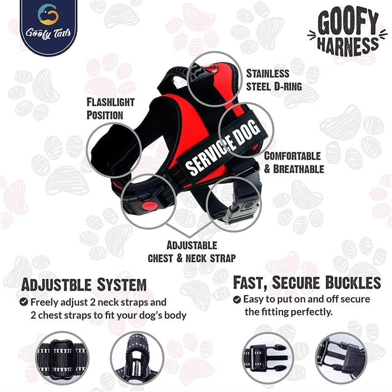 harness for dogs online india (7168307396758)
