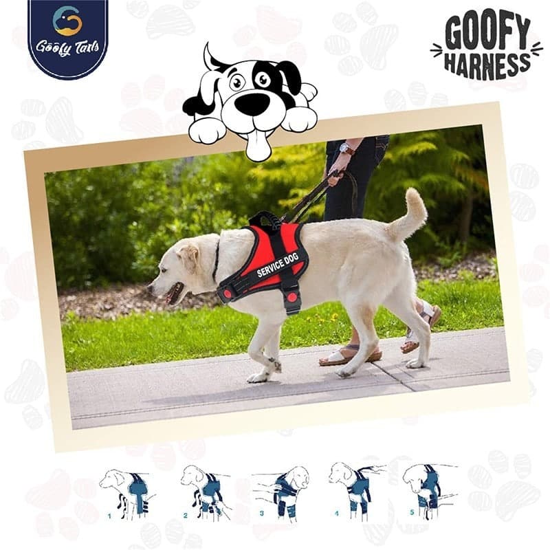 buy harness for dog (7168307396758)