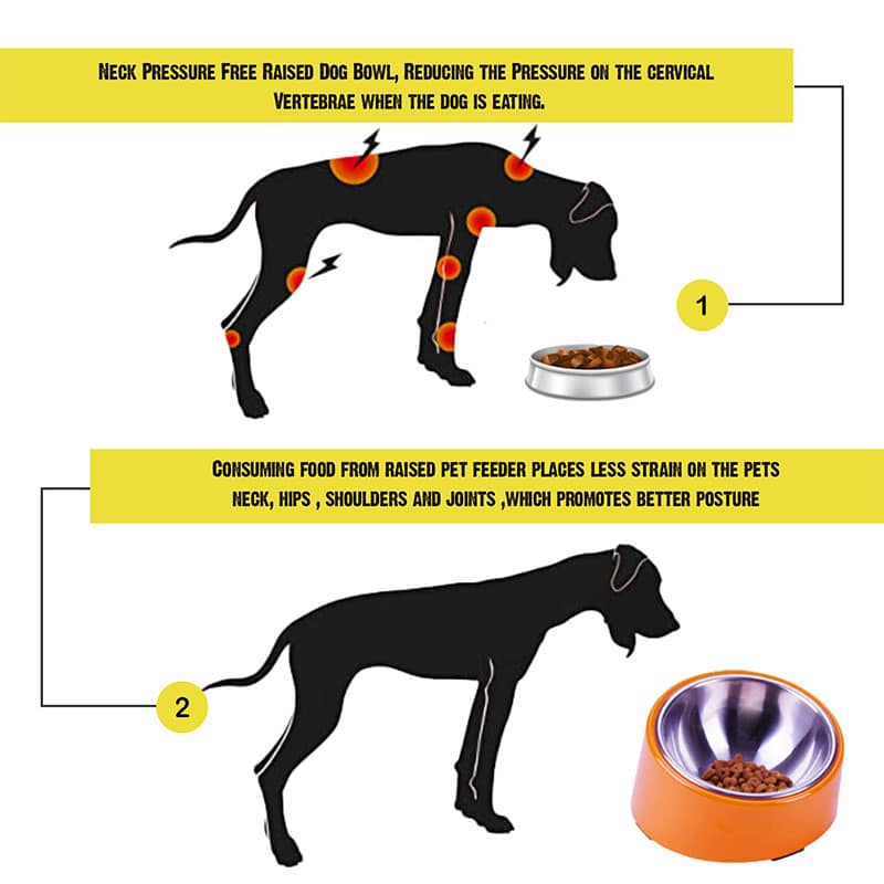 Goofy Tails Slanted Bowl for Dogs Stainless Steel and Melamine Dog Bowl with Rubber Antiskid Base (Orange) (7168169148566)