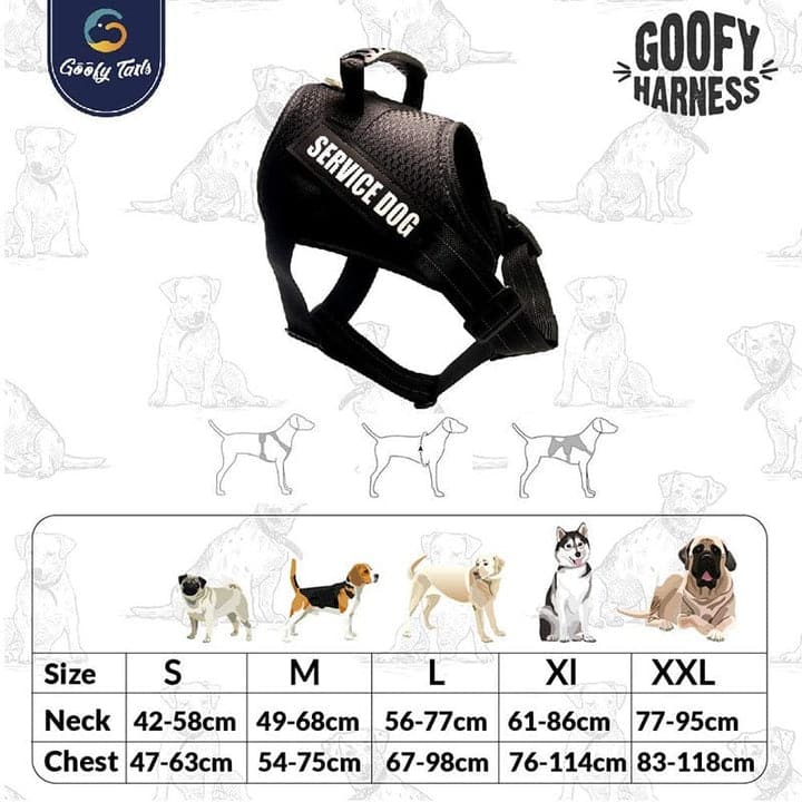 harnesses for dog (7306291675286)
