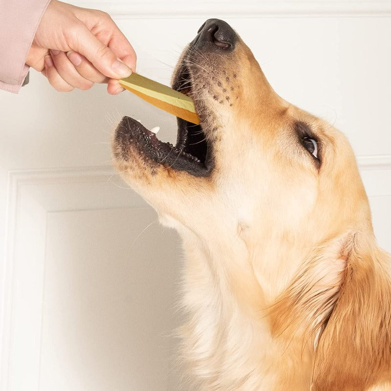Probiotic Dog Treat