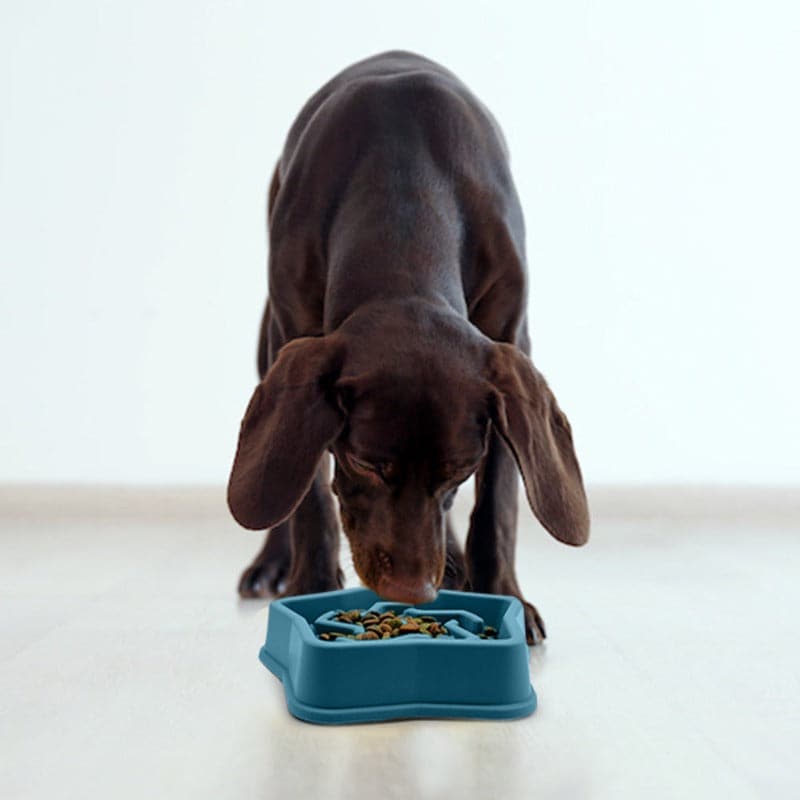 Slow feeding dog bowls (7648059883670)