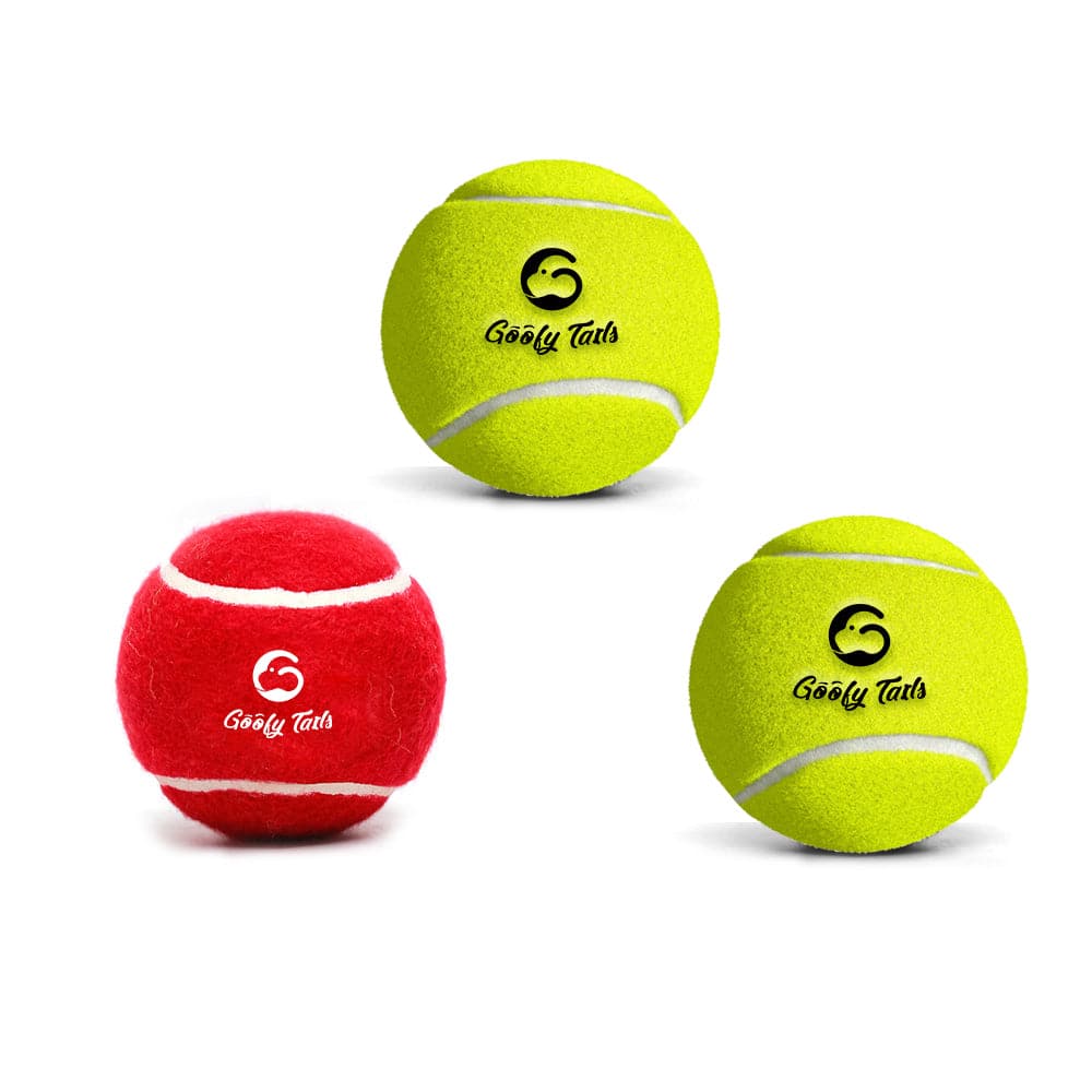 Dog ball (7648022823062)