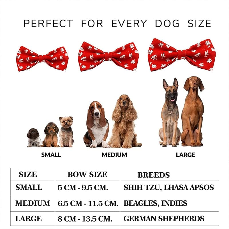 Goofy Tails X Design Chefz Summer Staycation Pet Bow Tie/Bowtie for Dogs & Cats (Kisser Design, Red) (7168166101142)
