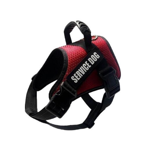 Buy Dog Collar Leashes and Harnesses Online India at Best Prices
