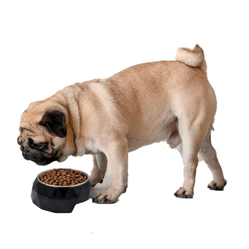 dog food bowls (7168169738390)