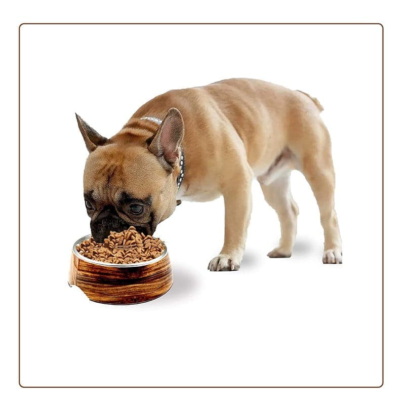 Dog Food Bowls (7168269418646)