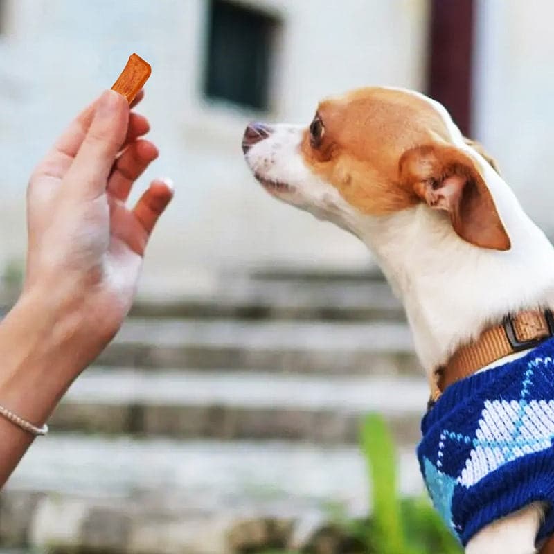 Healthy treat for dogs